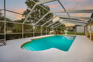 22481 Southshore Dr, Land O Lakes, FL 34639 - Photo 3