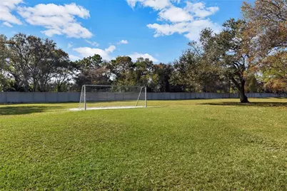 6650 Thackston Drive, Riverview, FL 33578 - Photo 59