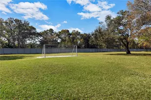 6650 Thackston Dr, Riverview, FL 33578 - Photo 59