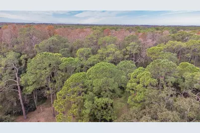 1120 Lanyard Street, Palm Harbor, FL 34685 - Photo 37