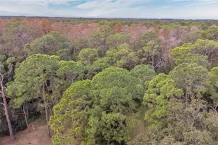 1120 Lanyard St, Palm Harbor, FL 34685 - Photo 37