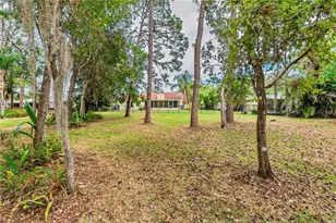 1120 Lanyard St, Palm Harbor, FL 34685 - Photo 39