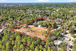 14252 Trinity Rd, Brooksville, FL 34614 - Photo 23