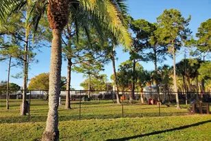 4429 Great Lakes Dr N, Clearwater, FL 33762 - Photo 59