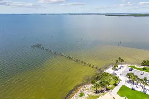 2195 Glen Dr, Safety Harbor, FL 34695 - Photo 49