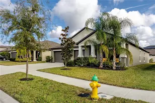 16654 Carlton Pond St, Wimauma, FL 33598 - Photo 39