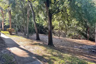 2160 Chianti Pl, Palm Harbor, FL 34683 - Photo 25