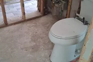 705 Shore Dr E, Oldsmar, FL 34677 - Photo 3