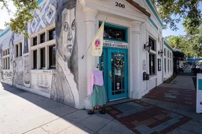 244 Iron Age Street, Safety Harbor, FL 34695 - Photo 29