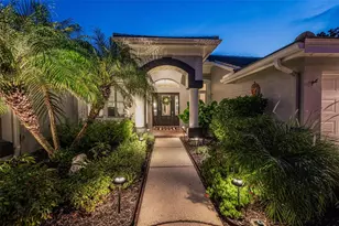 4626 Ayron Terrace, Palm Harbor, FL 34685 - Photo 75