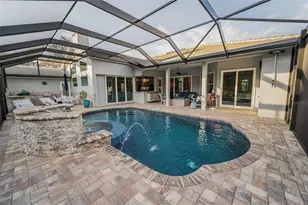 4626 Ayron Terrace, Palm Harbor, FL 34685 - Photo 51