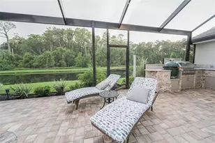 4626 Ayron Terrace, Palm Harbor, FL 34685 - Photo 57