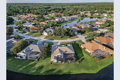 4626 Ayron Terrace, Palm Harbor, FL 34685 - Photo 71