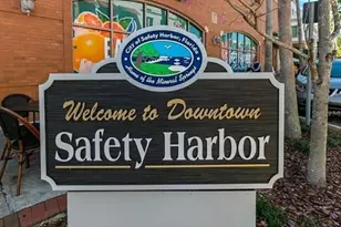 614 Pine St, Safety Harbor, FL 34695 - Photo 15