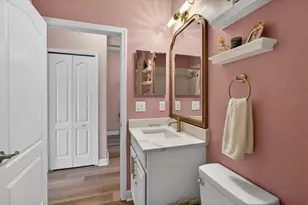 18564 Strombury Drive, Land O Lakes, FL 34638 - Photo 49