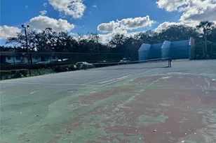 14313 Hanging Moss Cir, Tampa, FL 33613 - Photo 19