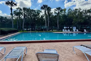 14313 Hanging Moss Cir, Tampa, FL 33613 - Photo 17