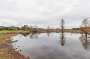 12628 Fort King Rd, Dade City, FL 33525 - Photo 39