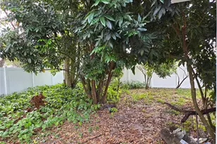 24914 Silversmith Dr, Lutz, FL 33559 - Photo 19