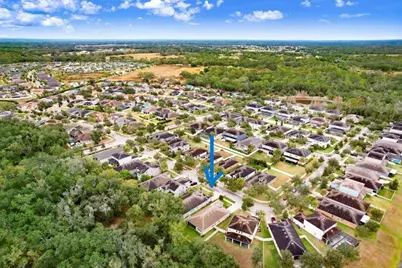 11415 Coventry Grove Circle, Lithia, FL 33547 - Photo 39