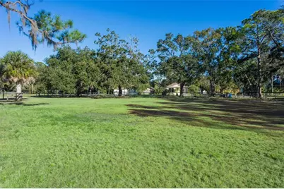 8132 Honeybee Lane, Tampa, FL 33635 - Photo 19