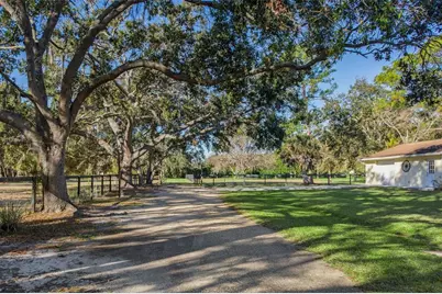 8132 Honeybee Lane, Tampa, FL 33635 - Photo 13