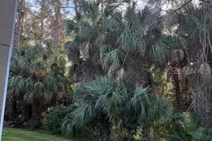 18960 Duquesne Dr, Tampa, FL 33647 - Photo 19