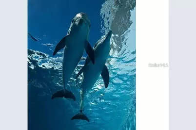 400 Island Way #1606, Clearwater Beach, FL 33767 - Photo 39