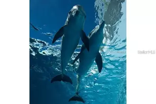 400 Island Way, Clearwater Beach, FL 33767 - Photo 39