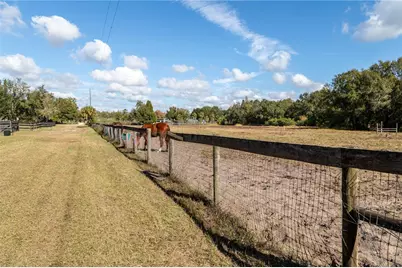 11560 Tarpon Springs, Odessa, FL 33556 - Photo 7