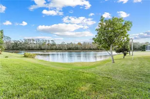 27416 Breakers Dr, Wesley Chapel, FL 33544 - Photo 45