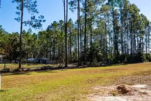 132 Nutmeg Trail, Interlachen, FL 32148 - Photo 87