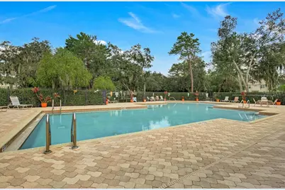 15834 Fishhawk View Drive, Lithia, FL 33547 - Photo 17