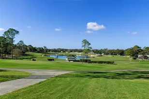 2129 Point O Woods Ct, Spring Hill, FL 34606 - Photo 33