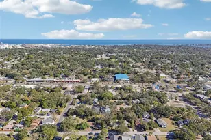 1730 17th St S, Saint Petersburg, FL 33712 - Photo 53