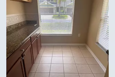 20120 Weeping Laurel Place, Tampa, FL 33647 - Photo 11