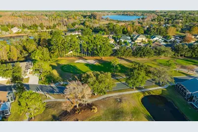 20804 Eustis Road, Land O Lakes, FL 34637 - Photo 45