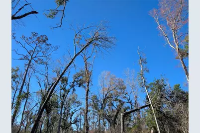 Nw Fox Run Trail #107, Mayo, FL 32066 - Photo 7