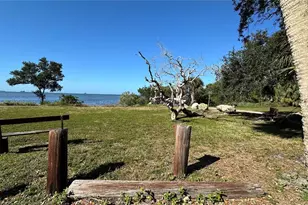 316 Crystal Beach Ave, Crystal Beach, FL 34681 - Photo 47