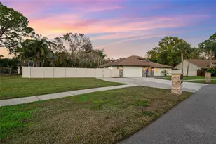 3843 Georgia Ct, Tarpon Springs, FL 34688 - Photo 3