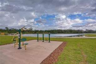 13522 Avista Dr, Tampa, FL 33624 - Photo 45