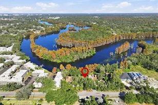 6050 River Trace Rd, Tampa, FL 33617 - Photo 55
