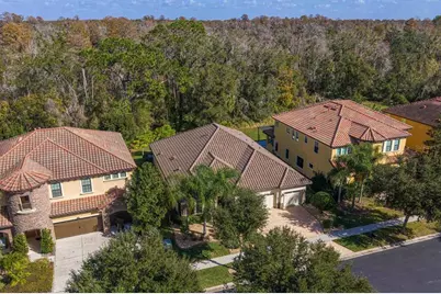 2833 Calvano Drive, Land O Lakes, FL 34639 - Photo 49