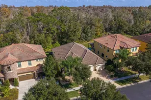 2833 Calvano Dr, Land O Lakes, FL 34639 - Photo 49