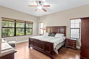 2833 Calvano Dr, Land O Lakes, FL 34639 - Photo 5