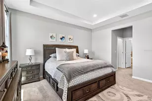 8382 Bower Bass Cir, Wesley Chapel, FL 33545 - Photo 21