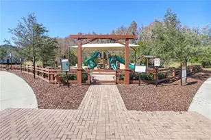 32859 Pez Landing Ln, Wesley Chapel, FL 33543 - Photo 29