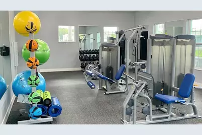 32859 Pez Landing Lane, Wesley Chapel, FL 33543 - Photo 33