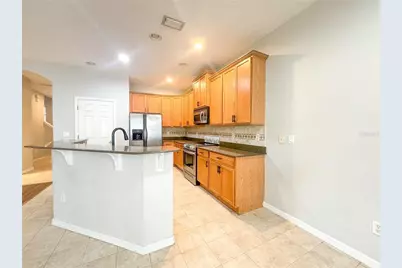 27010 Cool Stream Lane, Wesley Chapel, FL 33544 - Photo 5