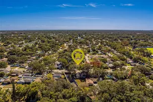 1837 Sourwood Blvd, Dunedin, FL 34698 - Photo 65